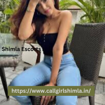 Shimla Escorts (1).png